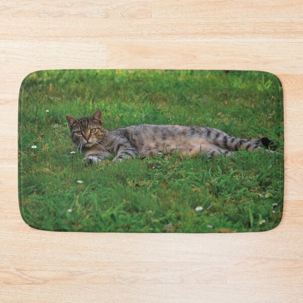 Item preview, Hello Everybody, my name is Spark. designed and sold by Nerone.