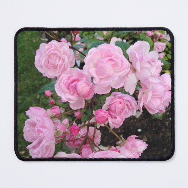 Item preview, I can admire roses endlessly designed and sold by Raigitam.