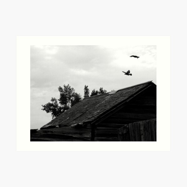 Weightless Art Print