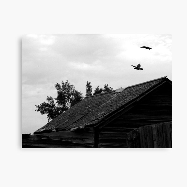 Weightless Canvas Print