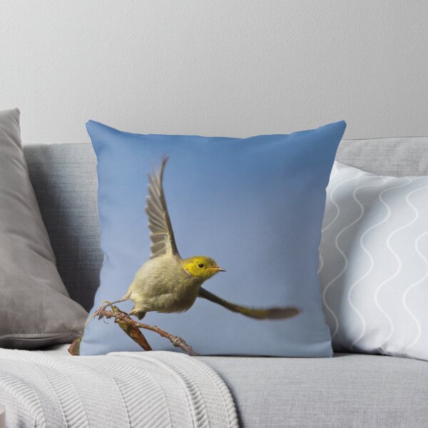 Item preview, Cleared for take off designed and sold by David  Hibberd.