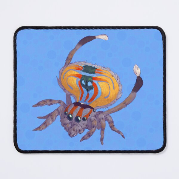 Item preview, Peacock spider designed and sold by PaulaBS.