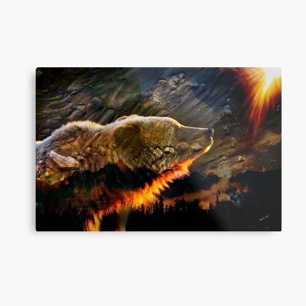 Bear King Metal Print