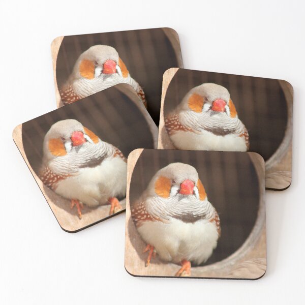 Item preview, Zebra Finch Portrait designed and sold by Vicki Spindler (VHS Photography).