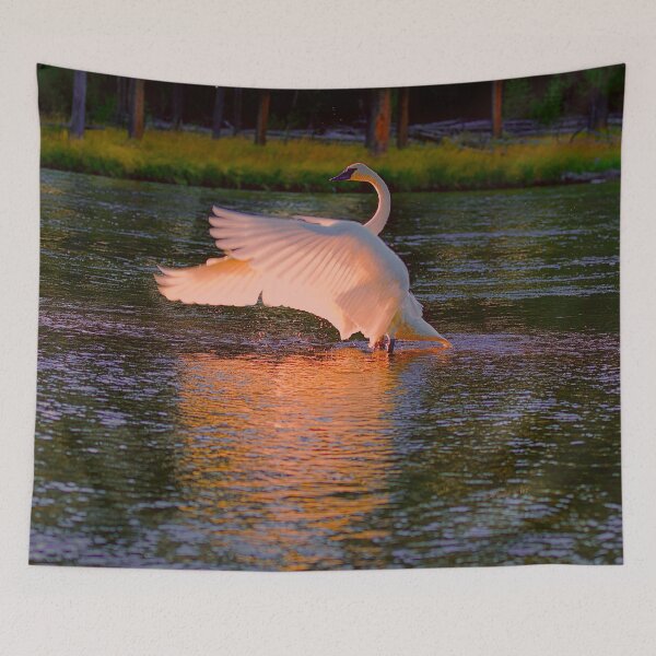 Item preview, Swan Sun Salutation designed and sold by Rocky Mountain Artistry.