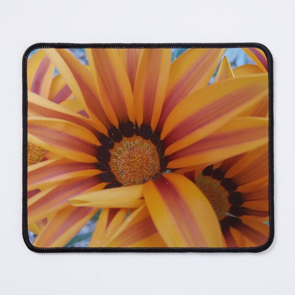 Item preview, Granny's Gazanias designed and sold by MYSarahPhotos.