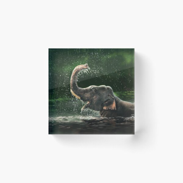 Item preview, Asian Elephant designed and sold by alandodrawing.