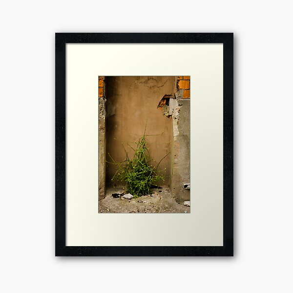 Life's Full of Surprises Framed Art Print