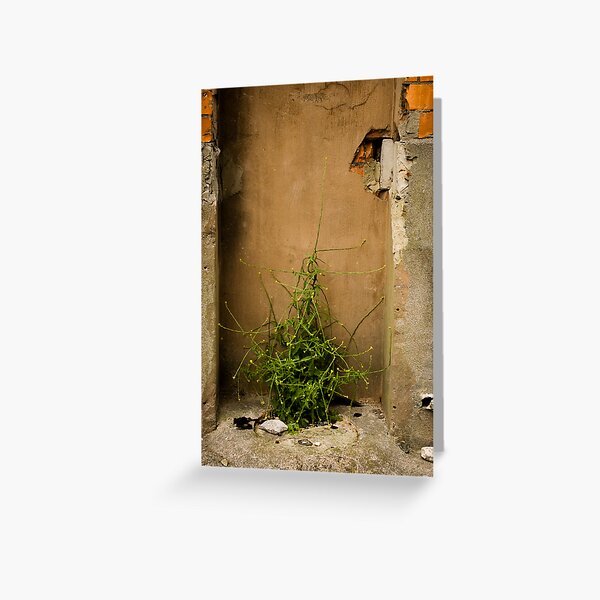 Life's Full of Surprises Greeting Card