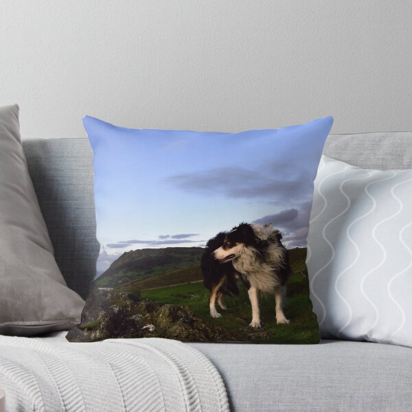Item preview, Lord Of All He Surveys. designed and sold by Michael Haslam.