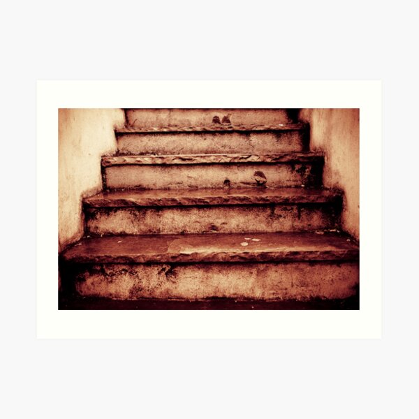 Steps Art Print