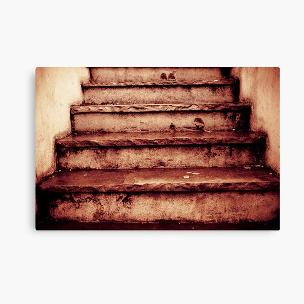Steps Canvas Print