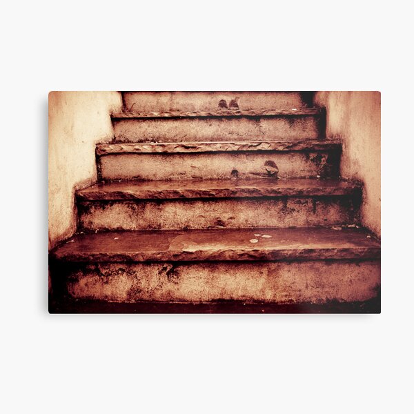 Steps Metal Print