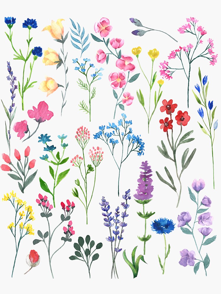 Beautiful Wildflowers by VirillaArt