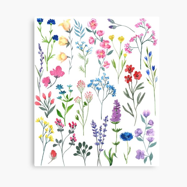 Beautiful Wildflowers Canvas Print