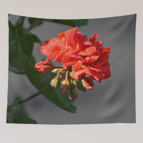 Item preview, Royal red designed and sold by lizdomett.
