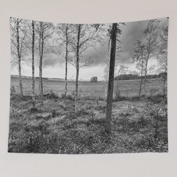 Item preview, The rain is coming from the lake bw designed and sold by Jouko Lehto Photography.