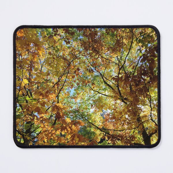 Item preview, Autumn Trees designed and sold by WonkeyCreations.