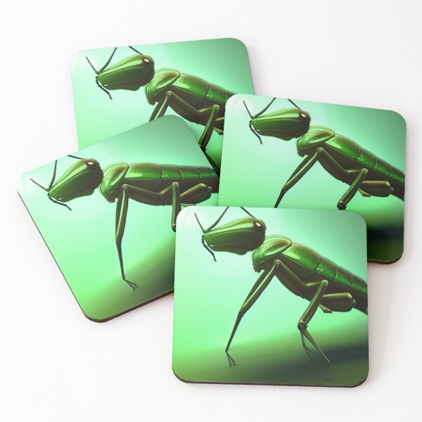 Item preview, 'Nature Background Asset - The Insect' designed and sold by Bako24.
