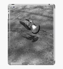 Flight iPad Case/Skin