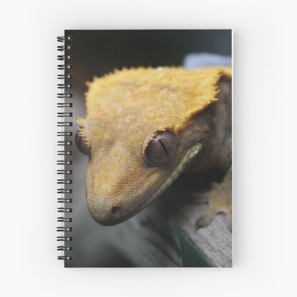 Artikelvorschau, Crested Gecko entworfen und verkauft von LizardBeans.