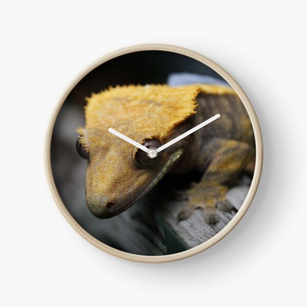 crested gecko Clock