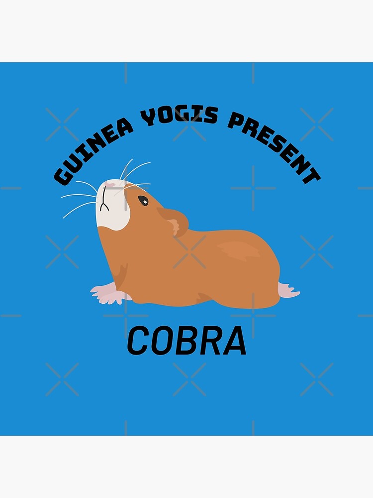 "Guinea pig Yogis united present Classic Yoga positions The Cobra