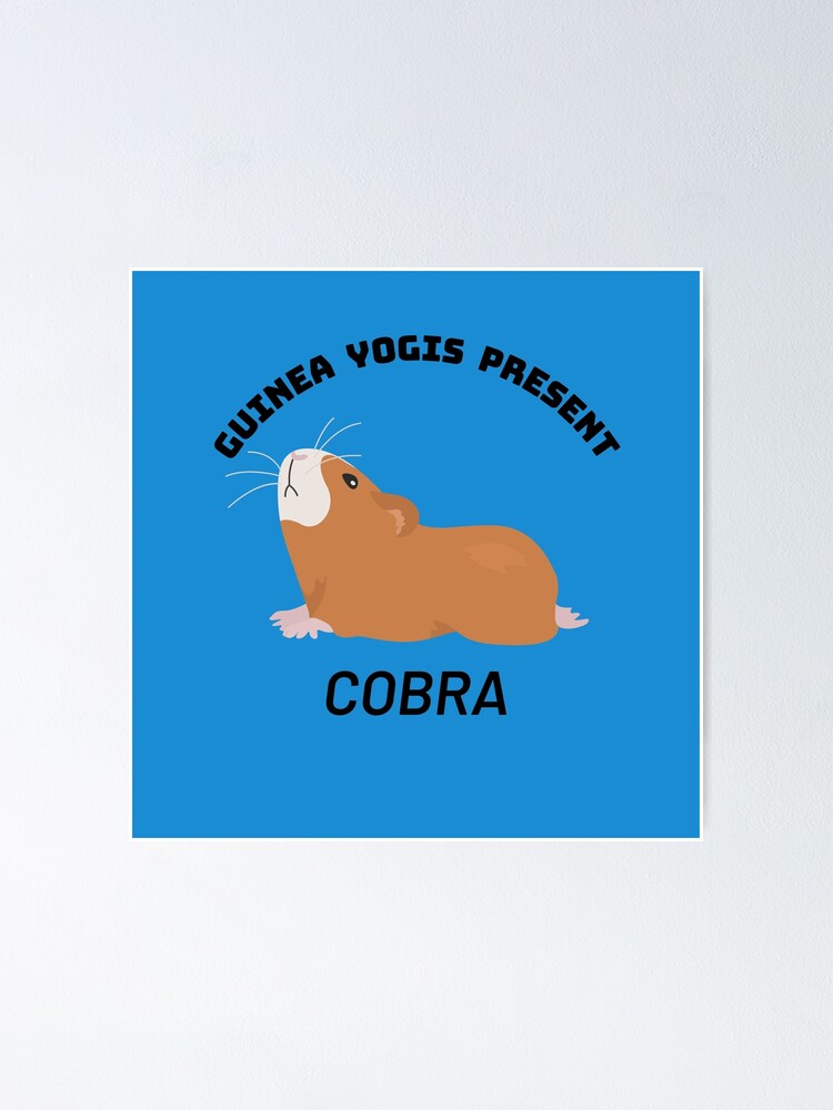 "Guinea pig Yogis united present Classic Yoga positions The Cobra