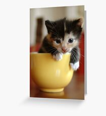 macchiato in tazza (Meg in the cup) Greeting Card