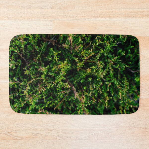 Item preview, Coniferous designed and sold by Arc1.