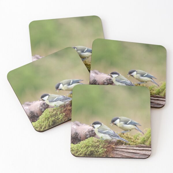 Item preview, Juvenile great tits at a feeding platform designed and sold by GreyFeatherPhot.
