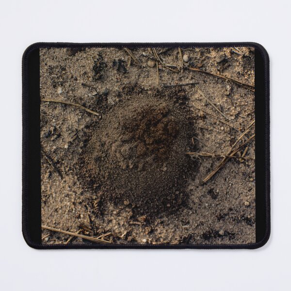 Item preview, Emerging Ant designed and sold by Arc1.