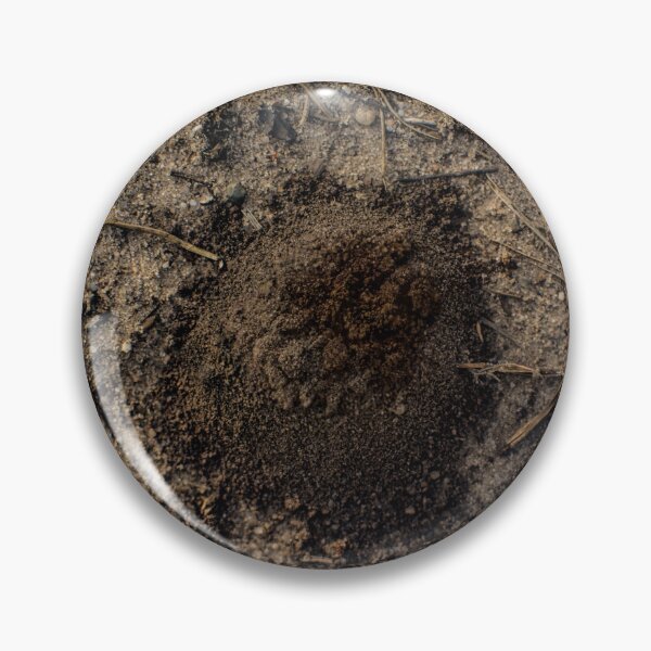 Item preview, Emerging Ant designed and sold by Arc1.
