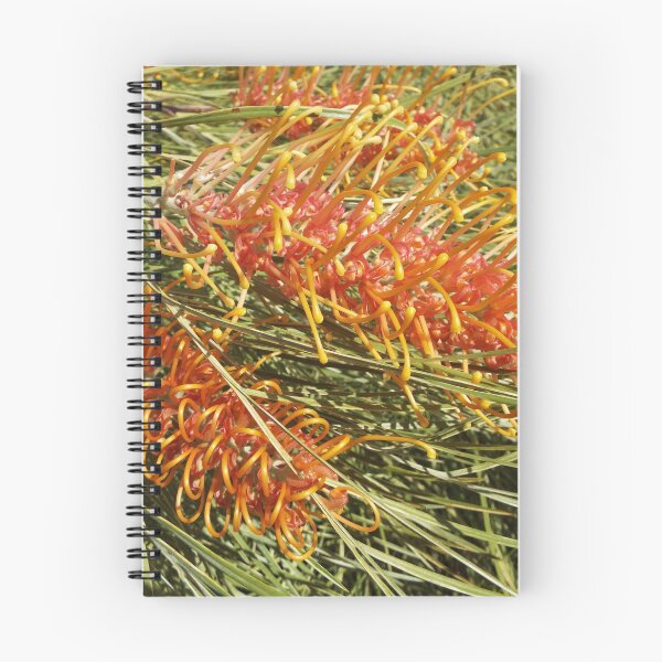 Item preview, Honey Gold Grevillea designed and sold by NinoSalina.