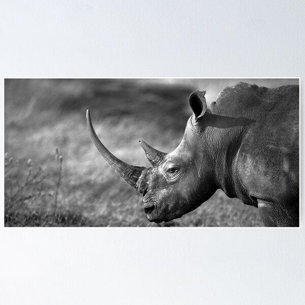Item preview, Step back in time designed and sold by Wild at Heart Namibia.