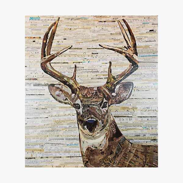 Photographic Print