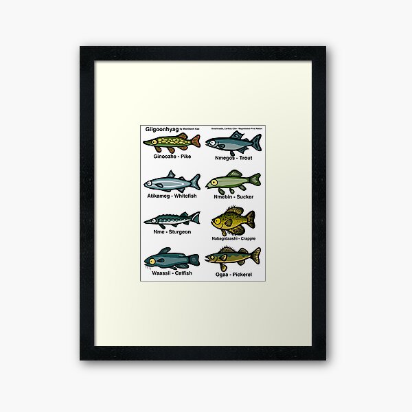 English/Anishinaabemowin Fish Print Framed Art Print