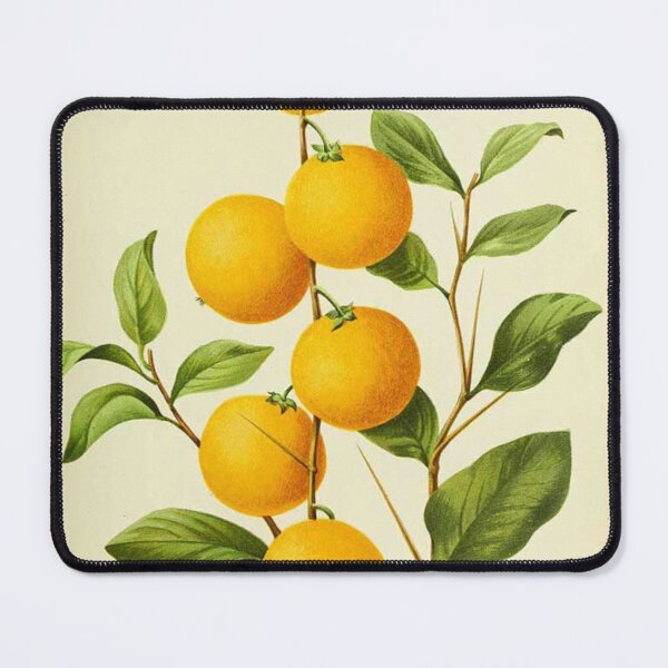 Item preview, Fruit - Umkokola, Kayaba, Kei apple, or Kau apple - Dovyalis caffra designed and sold by AlleghenyDesign.