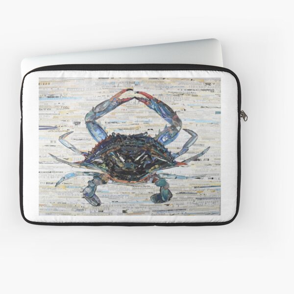 Laptop Sleeve