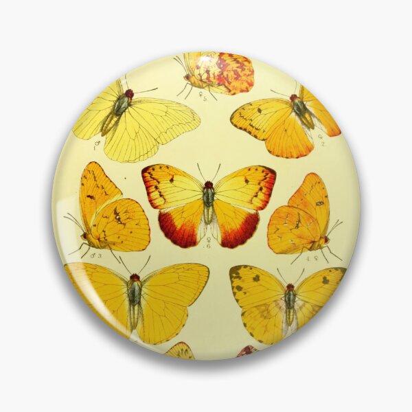 Item preview, Mariposas Vintage No. 2 - Callidryas designed and sold by AlleghenyDesign.