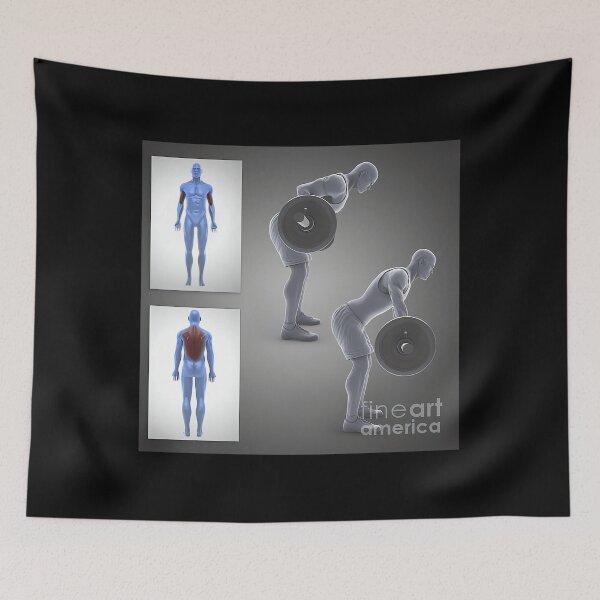Item preview, 87 exercise workout science picture co designed and sold by shuebzryu.