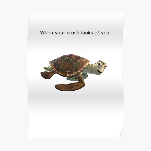 When Your Favorite Turtle Crush Looks At U Poster For Sale By Alexbreyere Redbubble