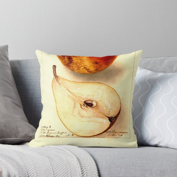 Item preview, Pears No. 2 - Pomological Watercolor Collection designed and sold by AlleghenyDesign.