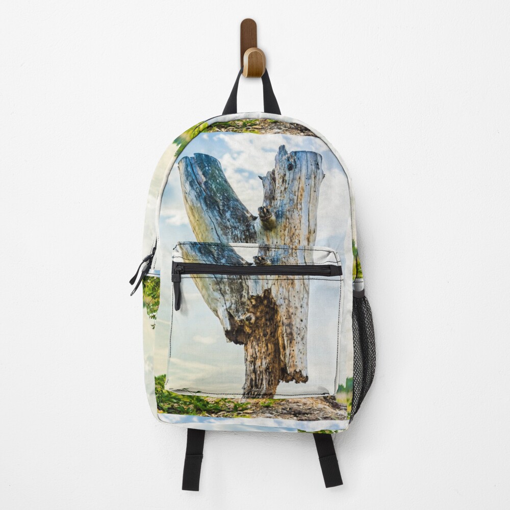 Item preview, Backpack designed and sold by arc1.