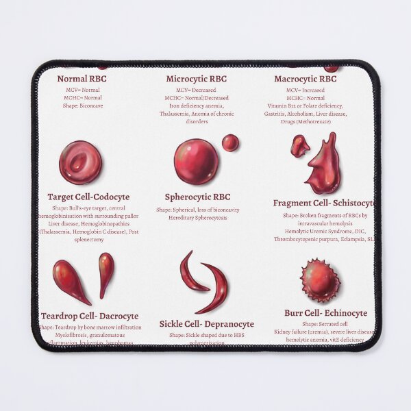 Item preview, RBC Morphologies designed and sold by DrTeebu.
