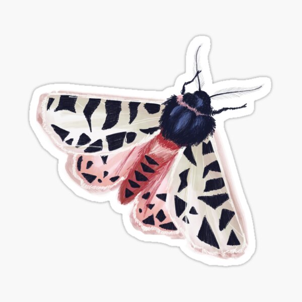 Another Moth. Sticker