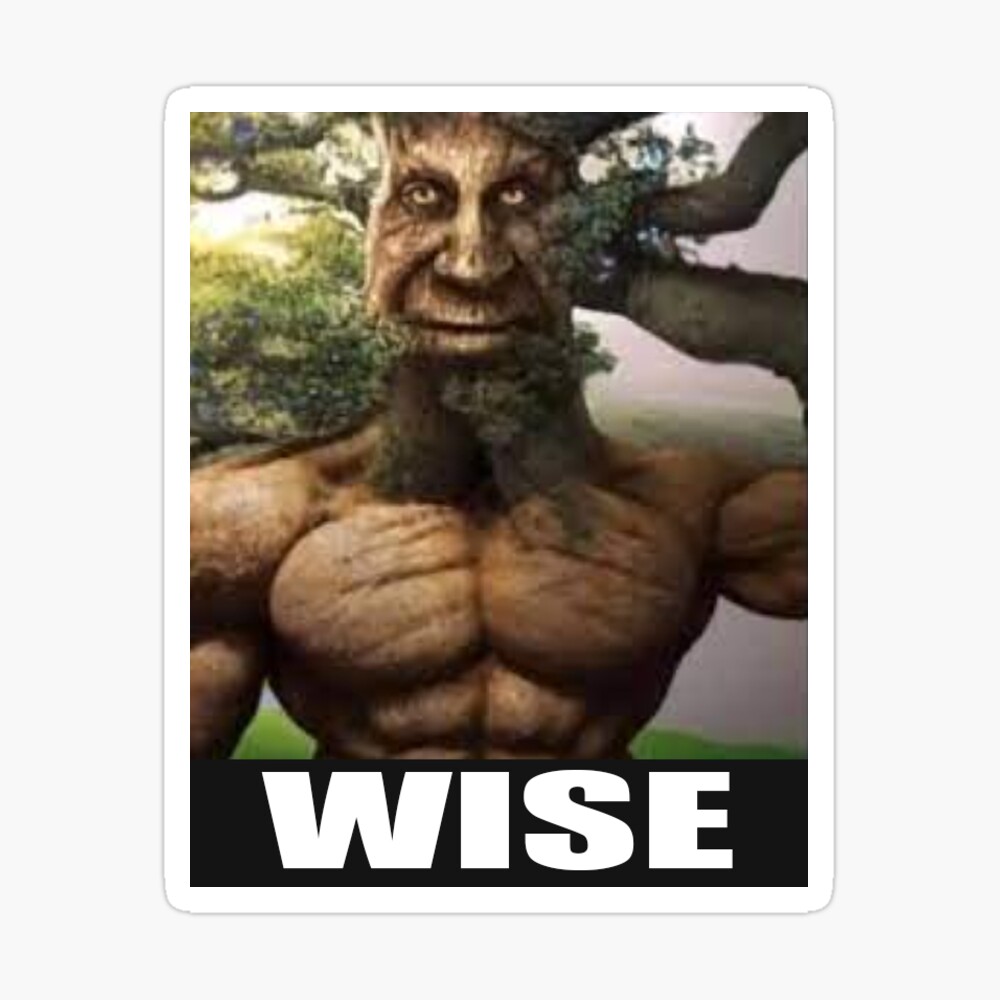 Not Me Being a Wise Mystical Tree Funny Meme' Bandana
