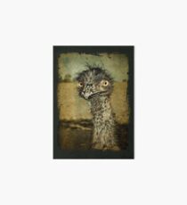 Mr Emu is a curious chap Art Board