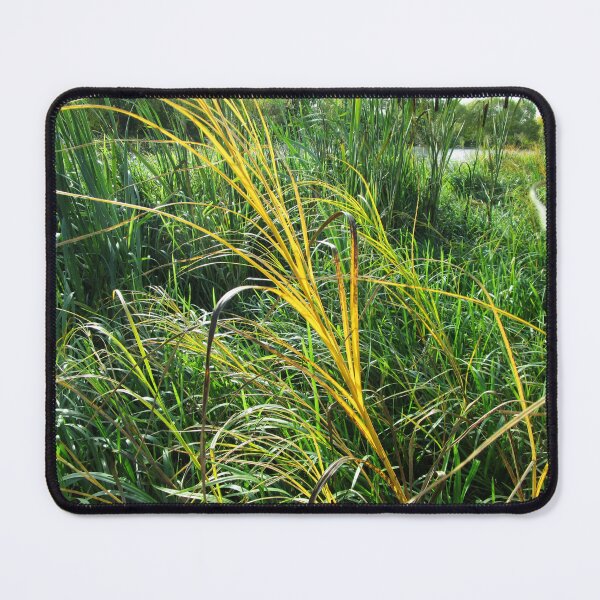 Item preview, Copy of Nature wild meadow landscape | wild meadow photography designed and sold by lausn.