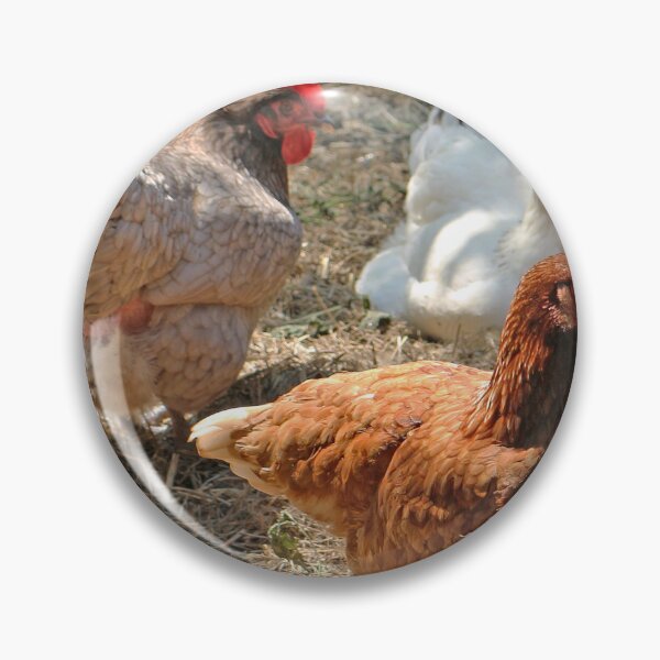 Item preview, Chickens designed and sold by pinkal.